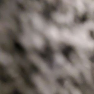 Meet your Posher, Ladawn